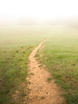 trail through an open meadow 