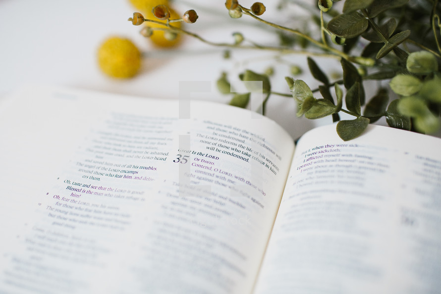 yellow flowers and pages of an open Bible 