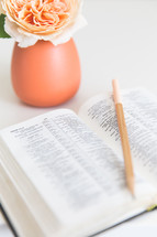 open Bible, pencil, and flower in a vase 