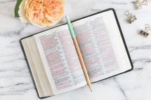 pencil on a Bible and flower in a vase