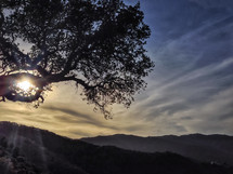 Silhouette of a tree at sunrise with mountain ranges on the horizon.