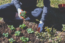 A woman planting a garden.