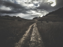worn path up a hill 