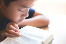 boy child reading a Bible 