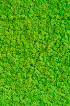 aerial view over a green forest