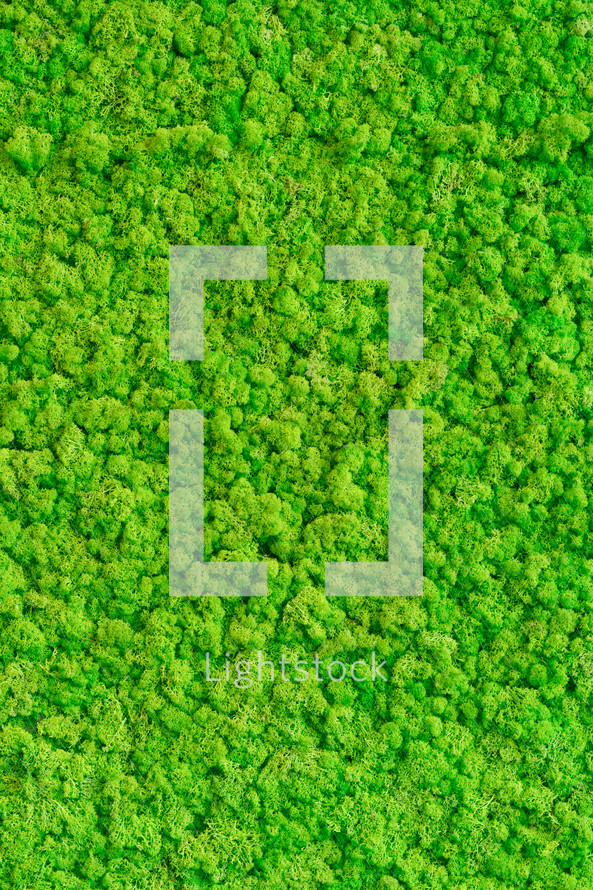 aerial view over a green forest