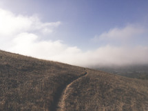 a worn path on a hill 