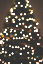 Lights on a Christmas tree