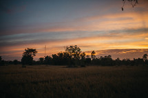 sunset over a field 