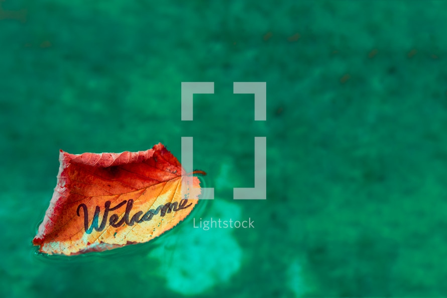 word welcome on a fall leaf floating in water 