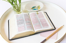 open Bible on a tray 