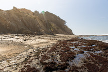 tide pools and sandy beach 