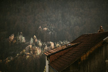 wood shingles on a roof and a mountainside forest 