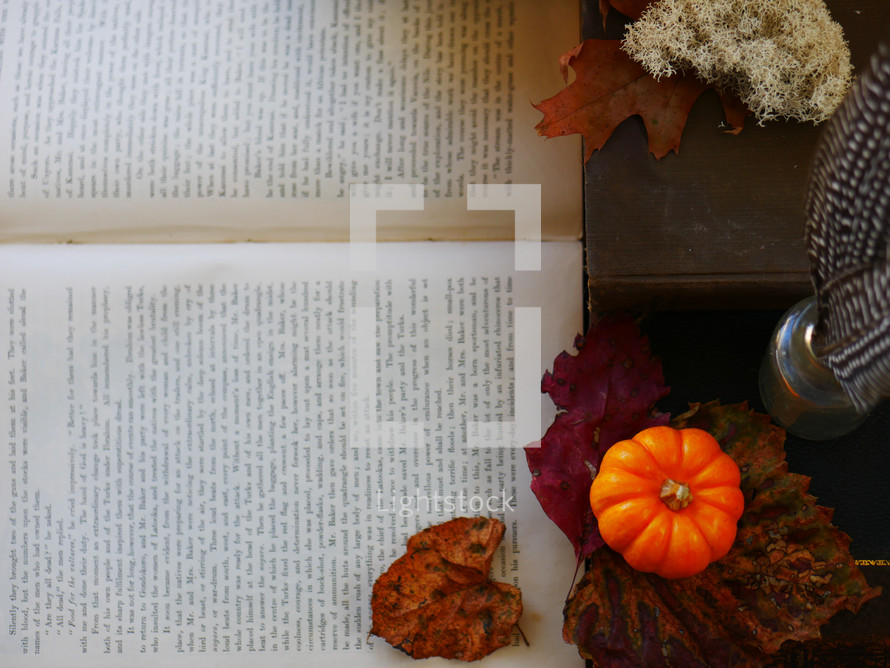 pumpkin, fall leaves, and open book 