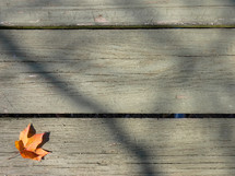 fall leaf on wood desk 