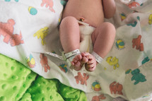 newborn babies legs 