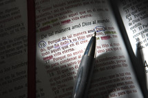 Pen on top of Spanish Bible pages.