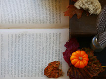pumpkin, fall leaves, and open book 