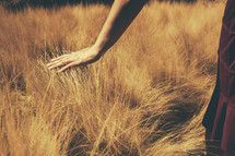 woman running her hand over tall grass 
