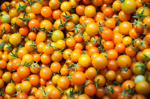 cherry tomatoes 