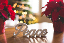 potted poinsettias and word peace Christmas display 