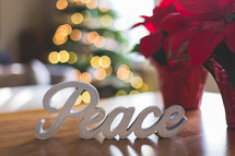 potted poinsettia and word peace Christmas display 