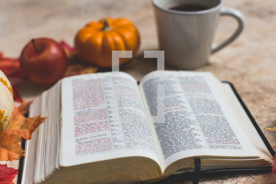 open Bible with fall items 