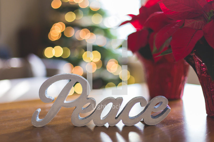 potted poinsettia and word peace Christmas display 