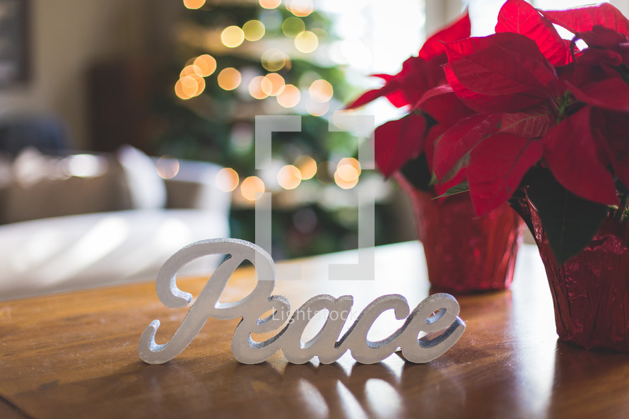 potted poinsettias and word peace 