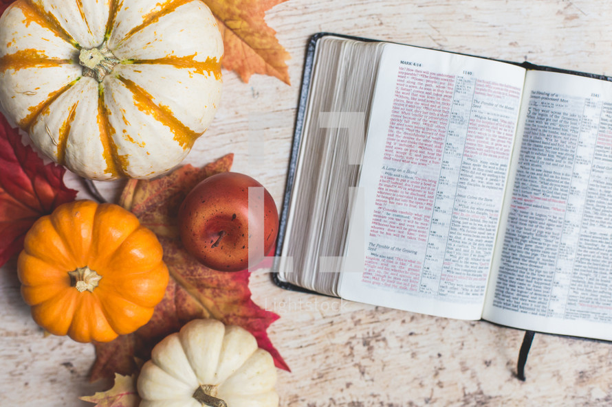 Bible with fall items 