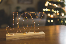 word joy in lights Christmas display 
