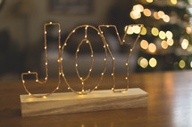 word joy in lights Christmas display  