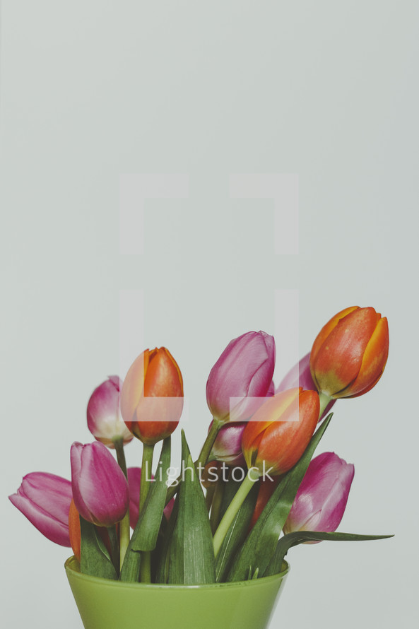 colorful tulips in a vase 