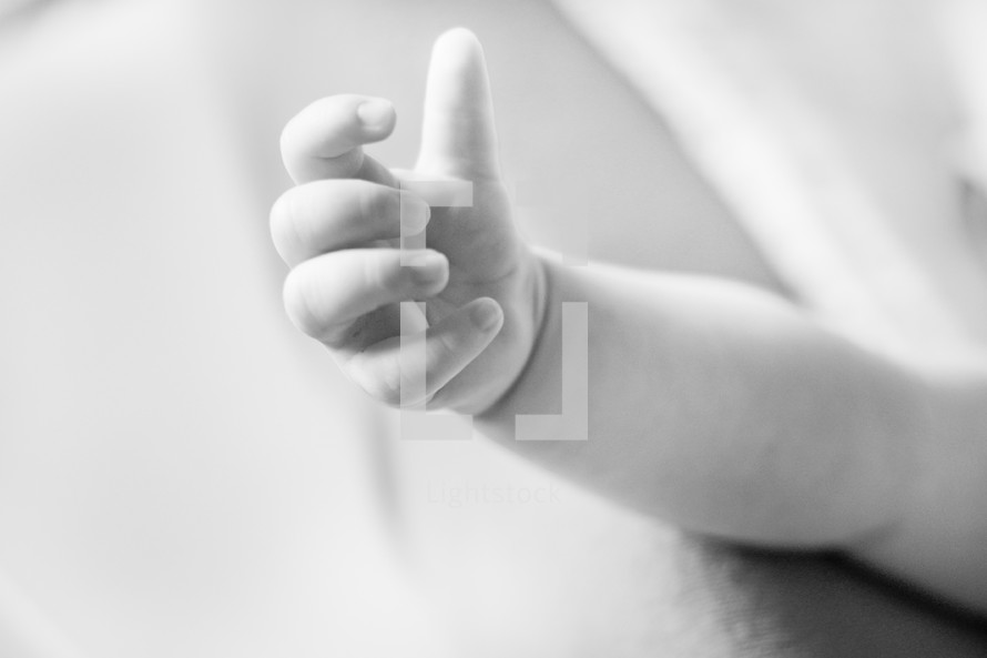 an infant's tiny hand 
