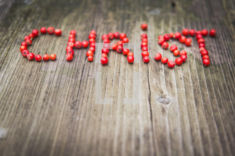 Christ in red berries on a word background 