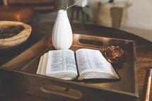 A Bible in a tray 