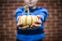 a boy child holding a pumpkin 