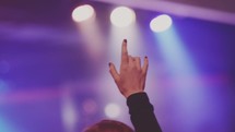 raised hand at a concert 