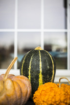 gourds and pumpkins by a window 
