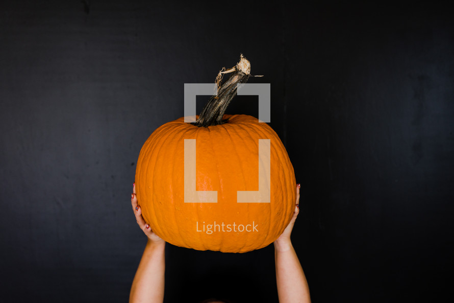 hands holding up a pumpkin against a black background 