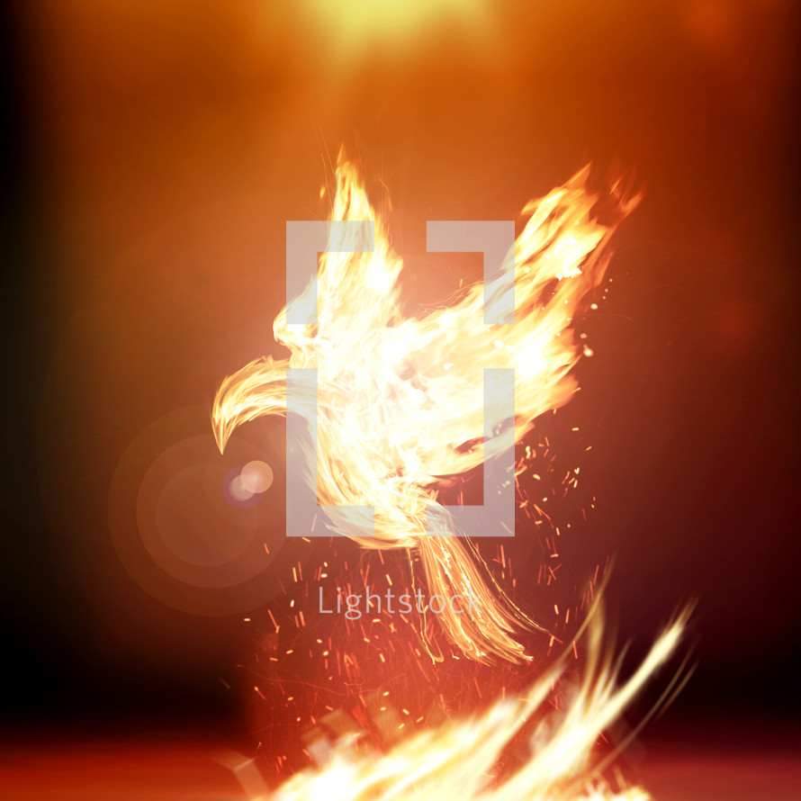 fiery doves - Holy Spirit 