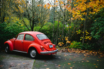 A red Volkswagen bug parked near trees.