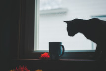 a cat and coffee mug in a window sill 