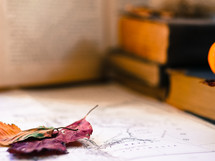fall leaves on a vintage map on a desk 