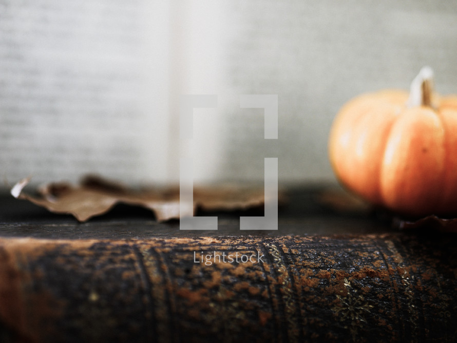 fall leaf and mini pumpkin on a leather bound book