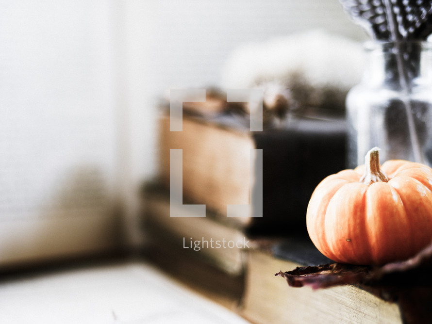 fall leaf and mini pumpkin on a leather bound book 