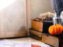 mini pumpkin, desk, feather, bottle, glass, book, fall, leaf, autumn, trinkets 
