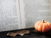 fall leaf, mini pumpkin, and pages of a book 