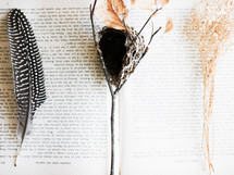 feather, branch, and bird nest on the pages of a book 