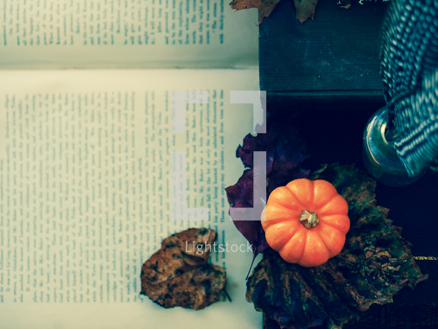 fall leaves and mini pumpkin on the pages of a book 